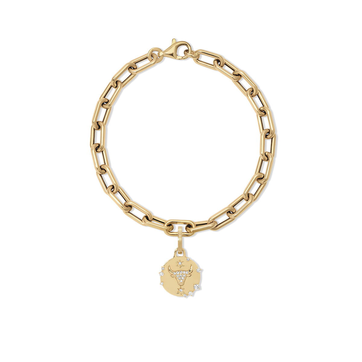 Choose Your Talisman Charm Bracelet on 5.3mm Italian Chain