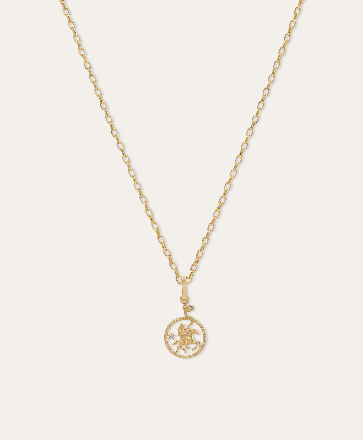 Diamond Cowgirl with Lasso Hinged Charm