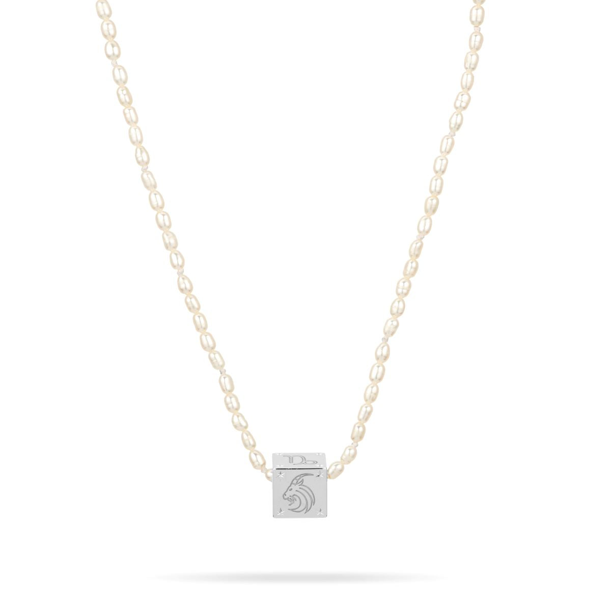 Zodiac Capricorn Block Big Bead in Sterling Silver