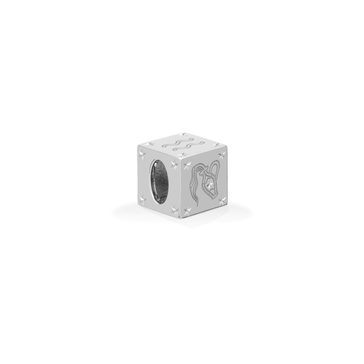 Zodiac Aquarius Block Big Bead in Sterling Silver