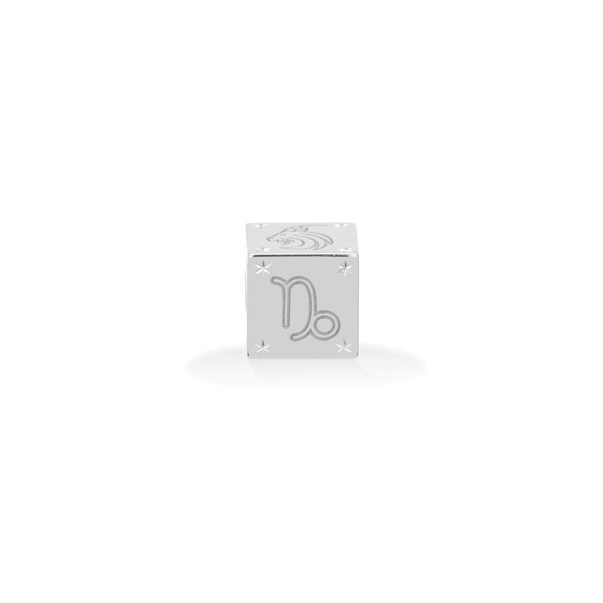 Zodiac Capricorn Block Big Bead in Sterling Silver
