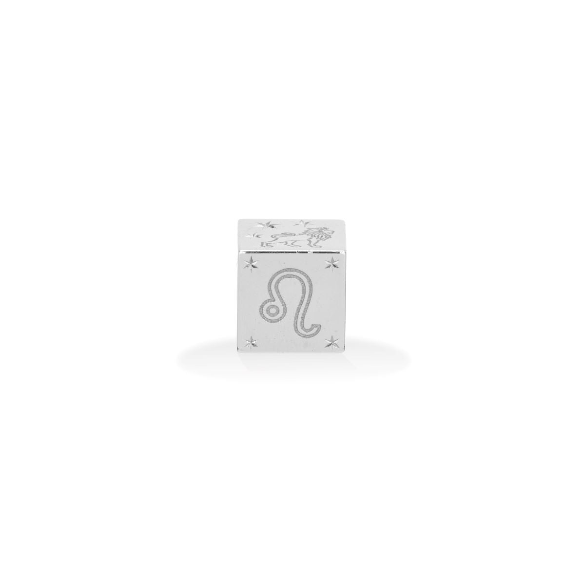 Zodiac Leo Block Big Bead in Sterling Silver