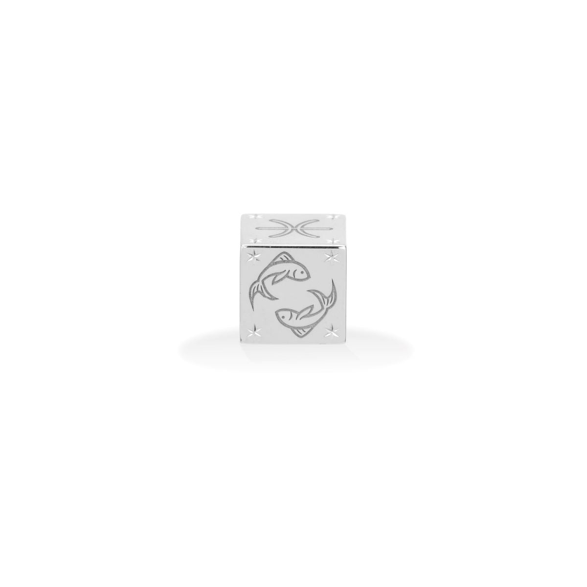 Zodiac Pisces Block Big Bead in Sterling Silver