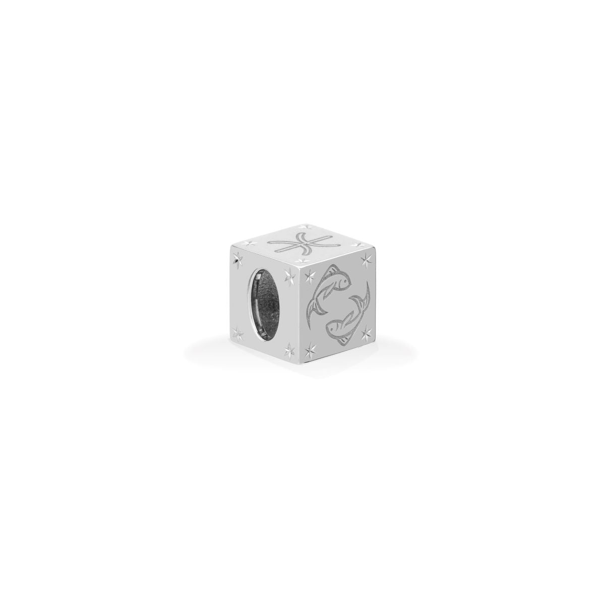 Zodiac Pisces Block Big Bead in Sterling Silver
