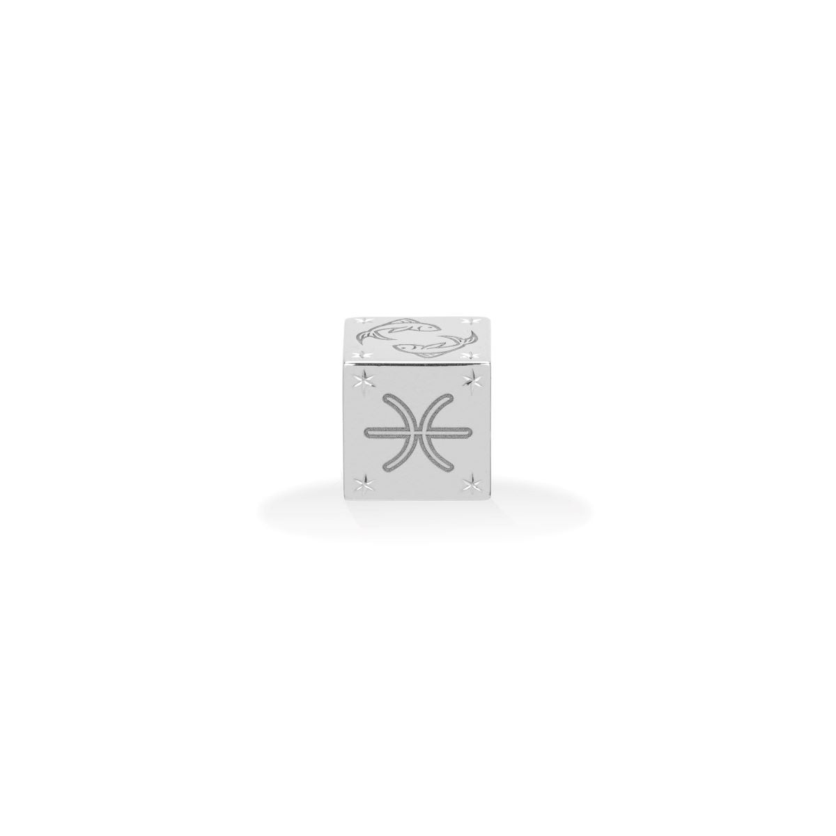 Zodiac Pisces Block Big Bead in Sterling Silver