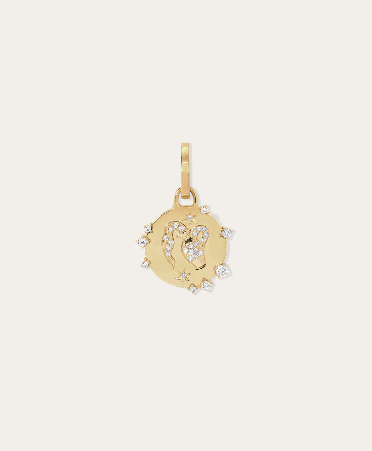 Zodiac Diamond Aquarius Hinged Charm