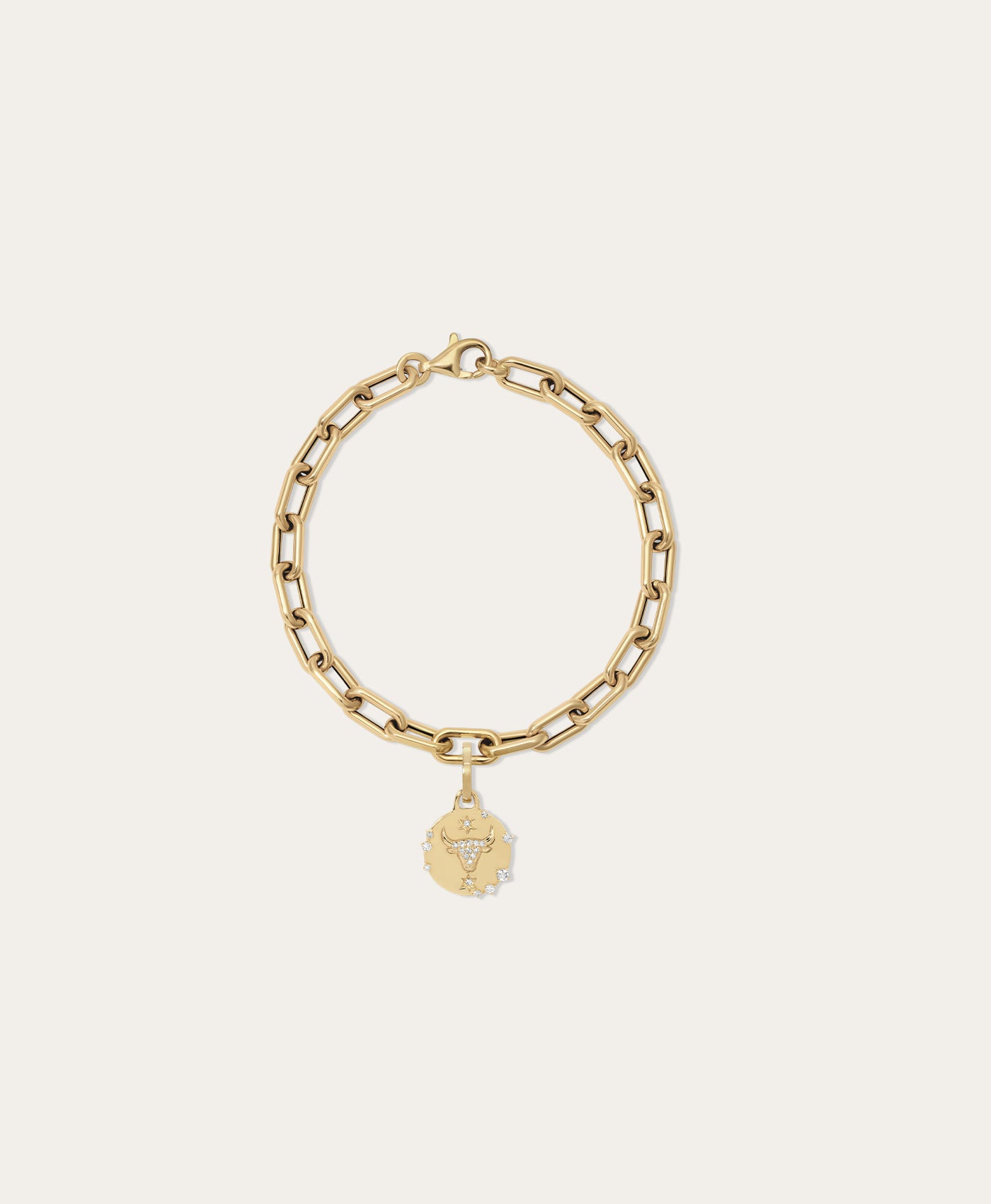 Choose Your Talisman Charm Bracelet on 5.3mm Italian Chain