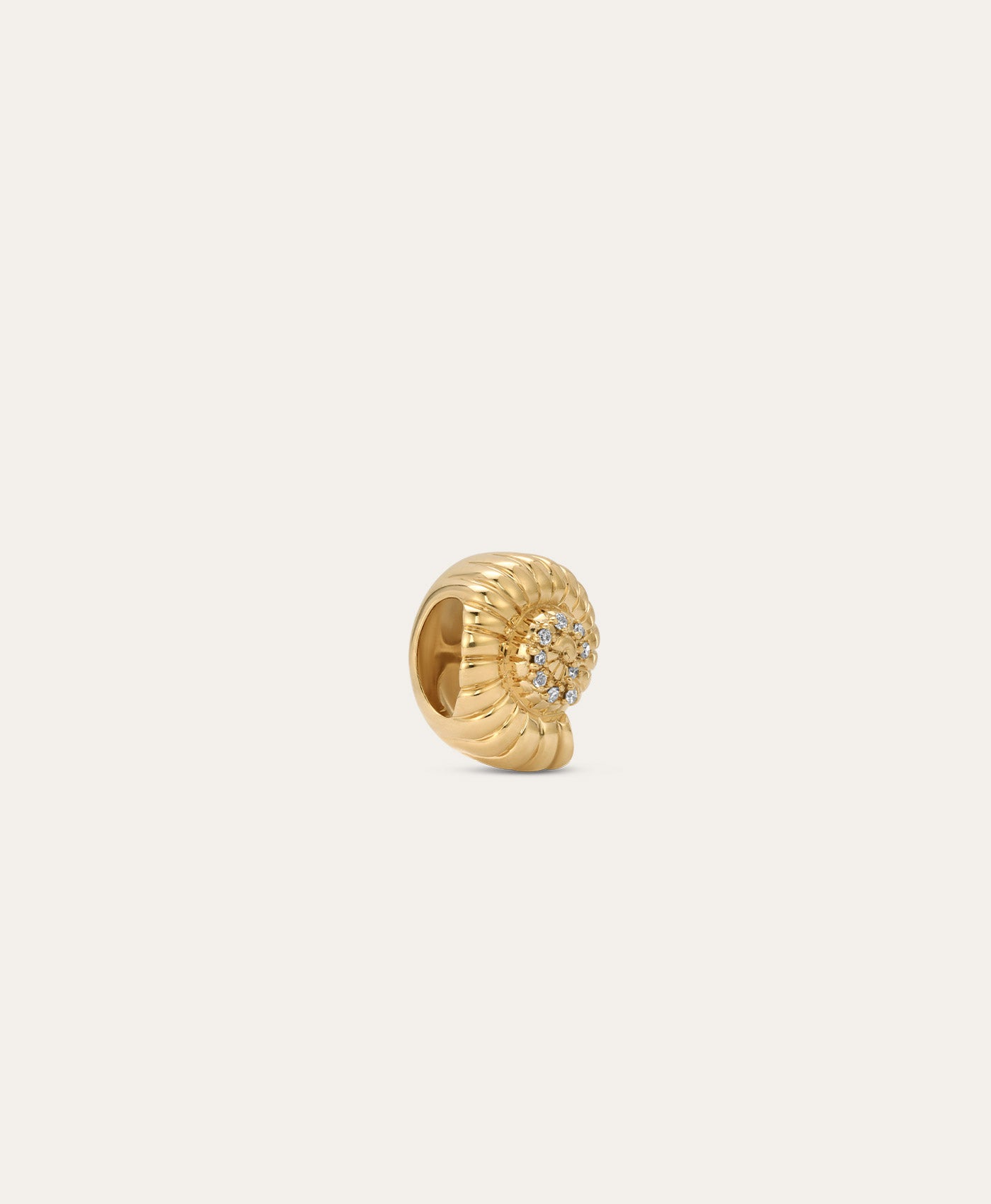 Groovy Diamond Seashell Big Bead