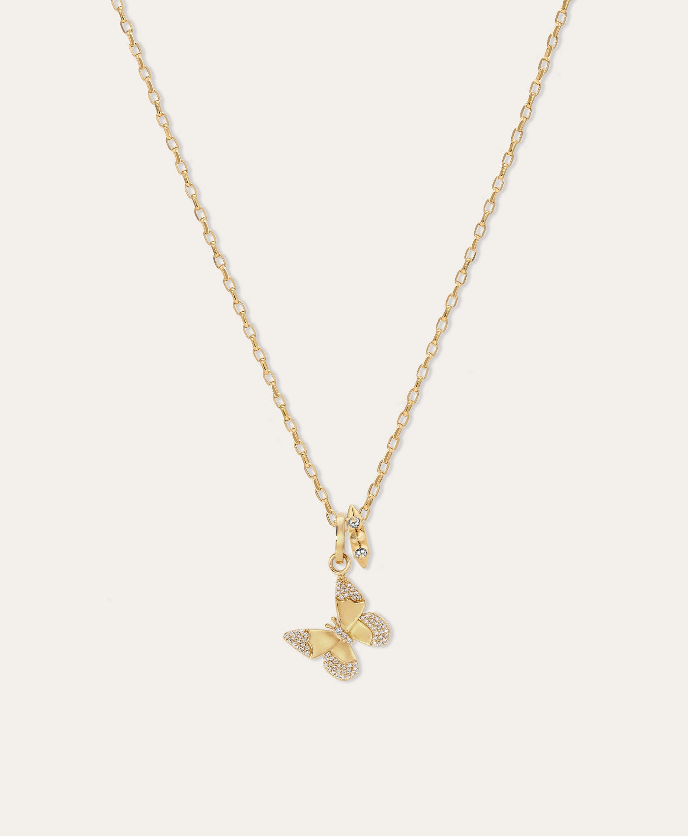 The Everyday Chain Necklace