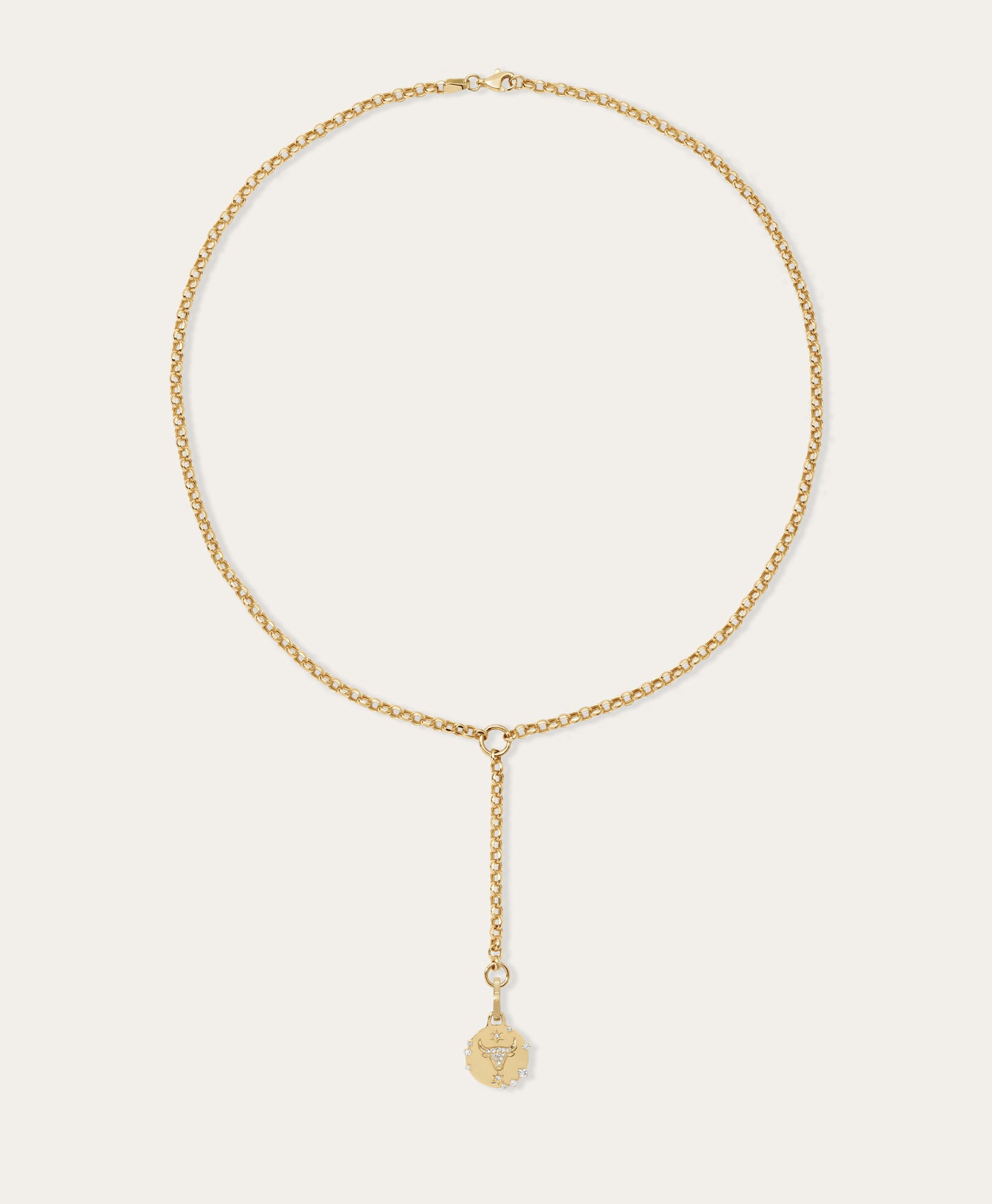 Zodiac Rolo Lariat Necklace in 14k Gold | Adina Reyter